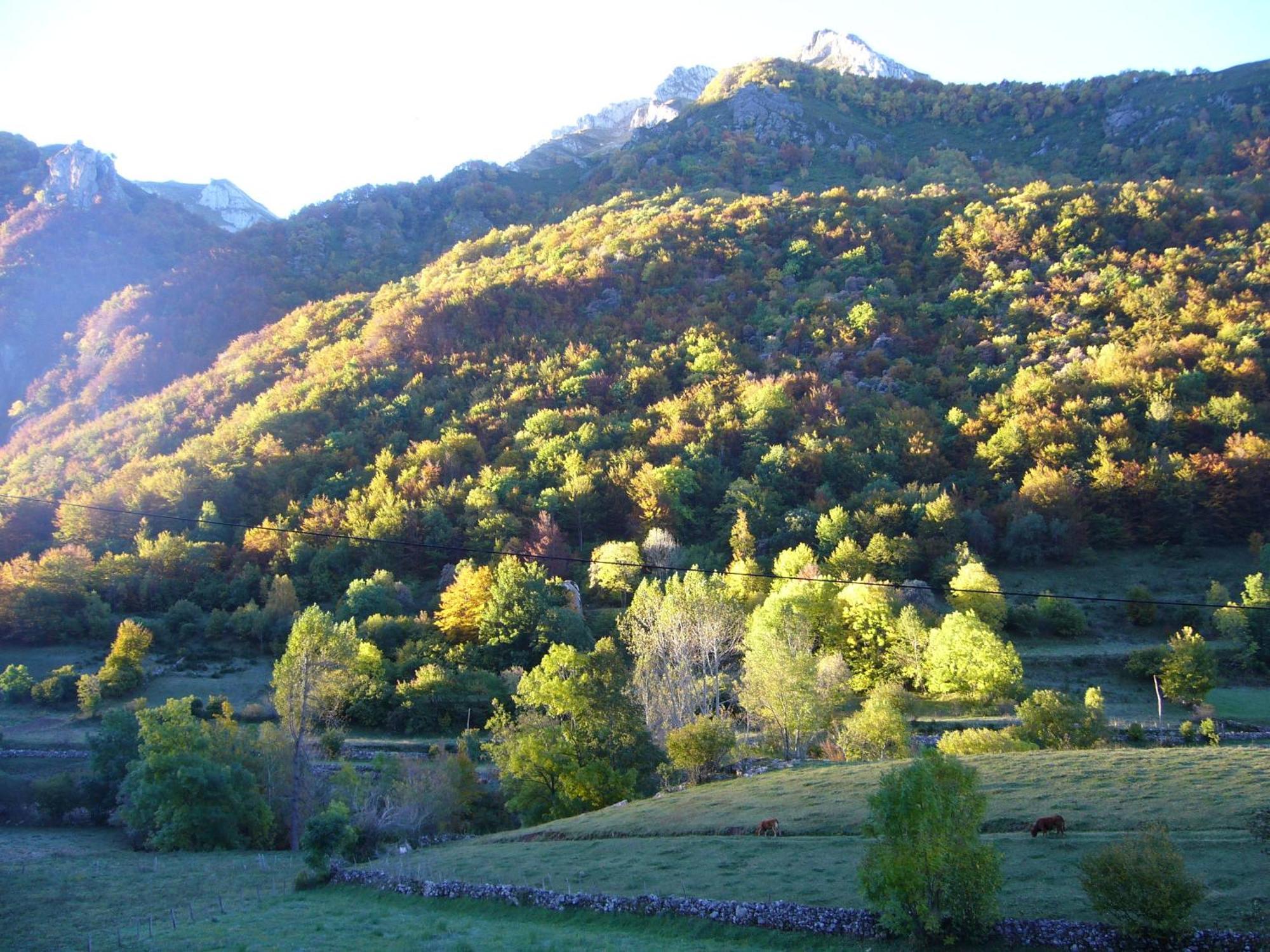 La Corona Del Auteiro Valle de Lago 외부 사진